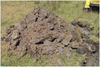 土壤測(cè)試 土壤測(cè)試